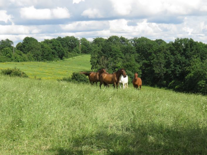 Image No.6-Maison de 4 chambres à vendre à Vic-Fezensac