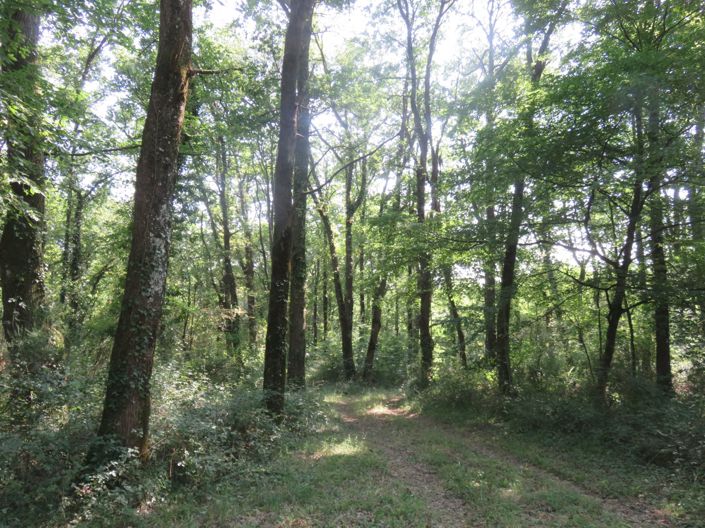 Image No.7-Maison de 4 chambres à vendre à Vic-Fezensac