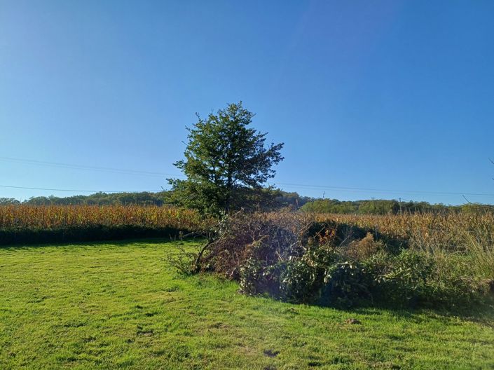 Image No.28-Maison de 6 chambres à vendre à Marciac