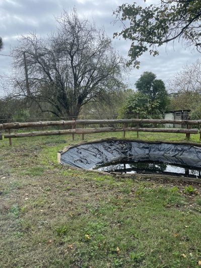 Image No.19-Maison de 4 chambres à vendre à Castillon-Debats