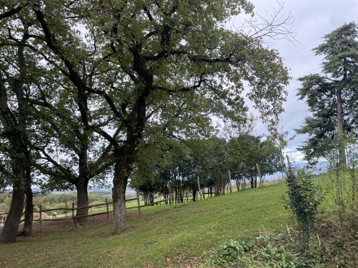 Image No.21-Maison de 4 chambres à vendre à Castillon-Debats