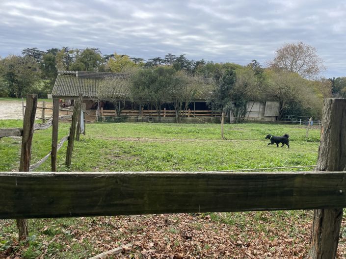 Image No.22-Maison de 4 chambres à vendre à Castillon-Debats