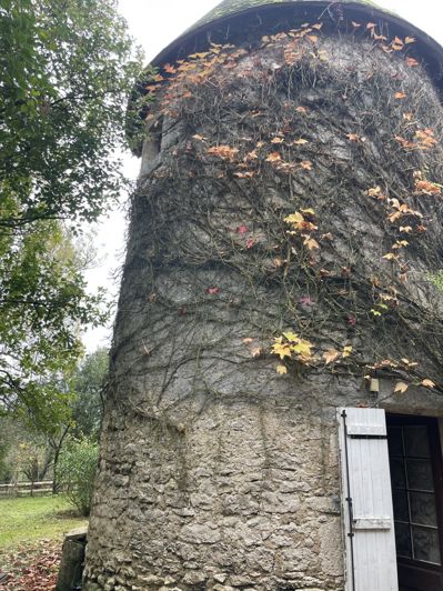 Image No.27-Maison de 4 chambres à vendre à Castillon-Debats