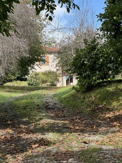 Image No.25-3 Bed House for sale