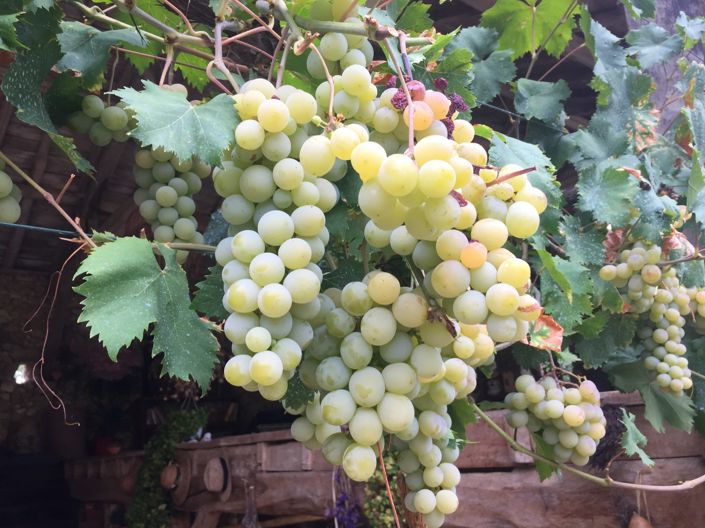 Image No.32-5 Bed House for sale