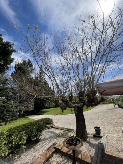 Image No.47-Maison de 4 chambres à vendre à Simorre