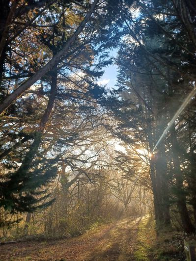 Image No.67-Maison de 4 chambres à vendre à Simorre