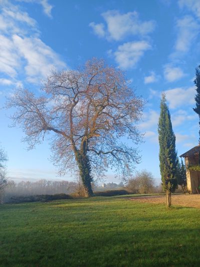 Image No.68-Maison de 4 chambres à vendre à Simorre
