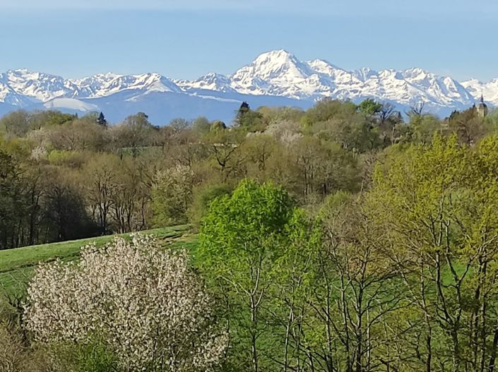 Image No.2-4 Bed House for sale