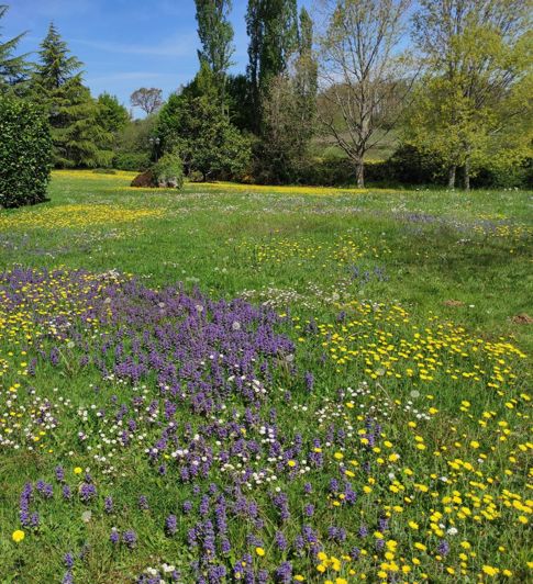 Image No.20-4 Bed House for sale