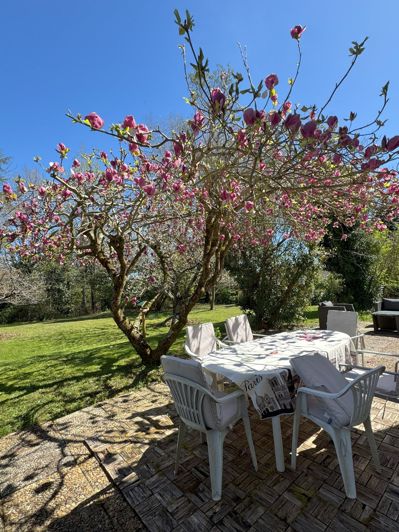 Image No.31-4 Bed House for sale