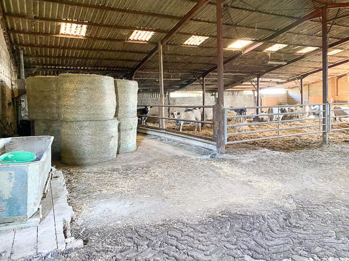 Image No.26-Maison de 4 chambres à vendre à Plaisance