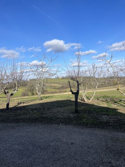 Image No.45-2 Bed House for sale