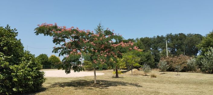 Image No.24-Maison de 4 chambres à vendre à Mirande