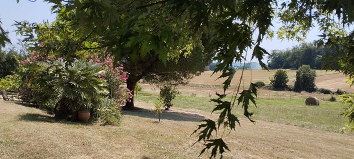 Image No.32-Maison de 4 chambres à vendre à Mirande