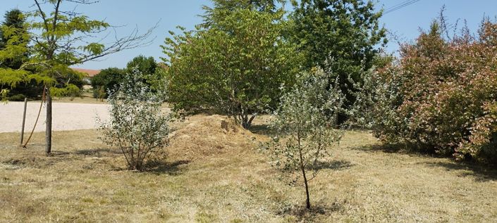 Image No.40-Maison de 4 chambres à vendre à Mirande