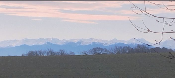 Image No.5-Maison de 4 chambres à vendre à Mirande