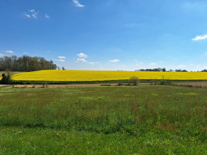 Image No.73-Maison de 4 chambres à vendre à Mirande