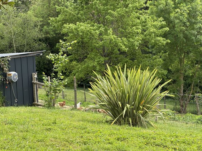 Image No.35-4 Bed House for sale