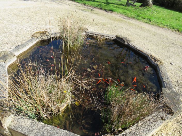 Image No.43-4 Bed House for sale