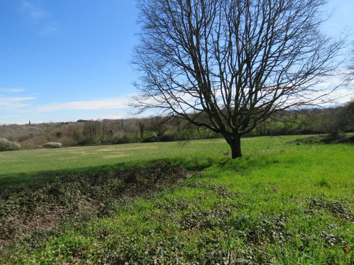 Image No.49-4 Bed House for sale