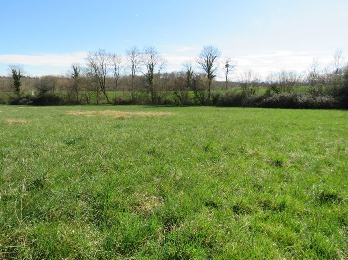 Image No.51-4 Bed House for sale