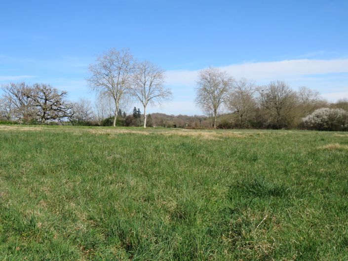 Image No.57-4 Bed House for sale