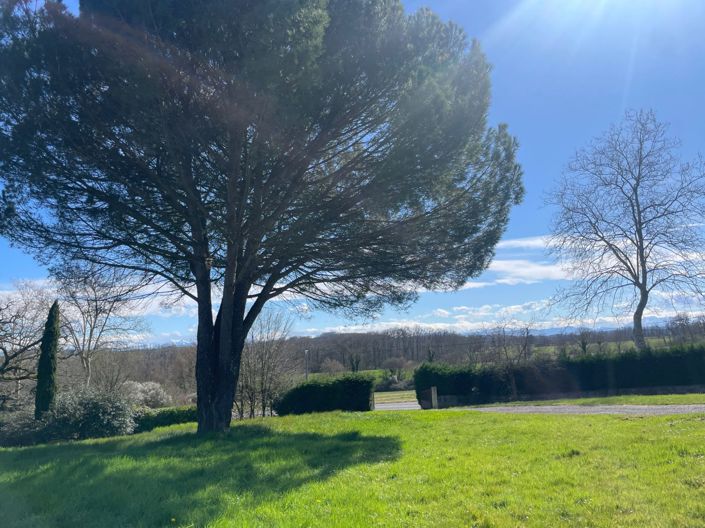 Image No.79-4 Bed House for sale