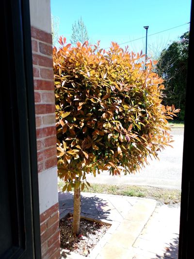 Image No.19-4 Bed House for sale