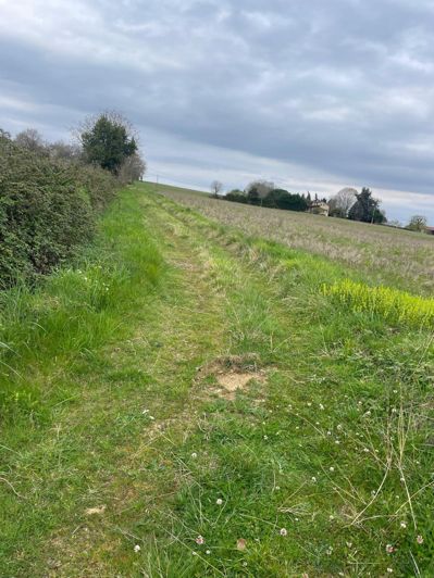 Image No.24-Maison de 4 chambres à vendre à Mirande