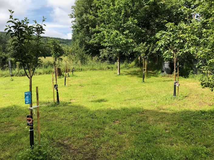 Image No.25-6 Bed House for sale