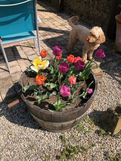 Image No.58-6 Bed House for sale