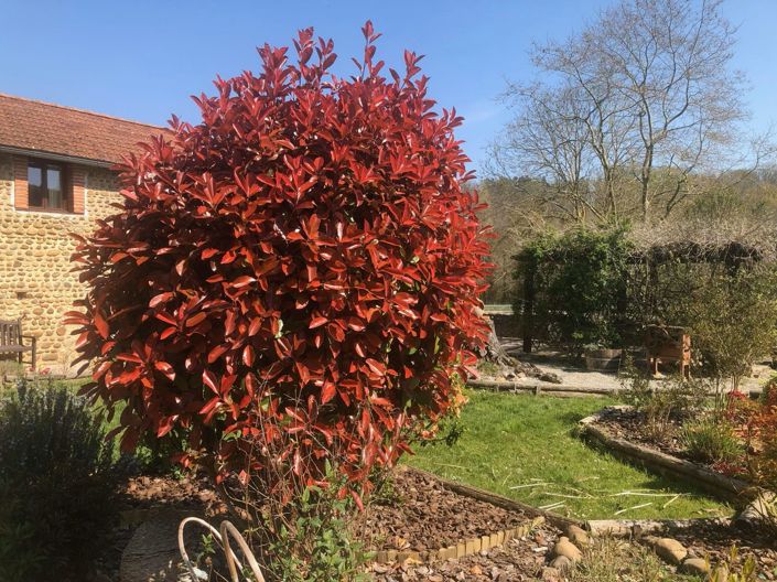 Image No.59-6 Bed House for sale