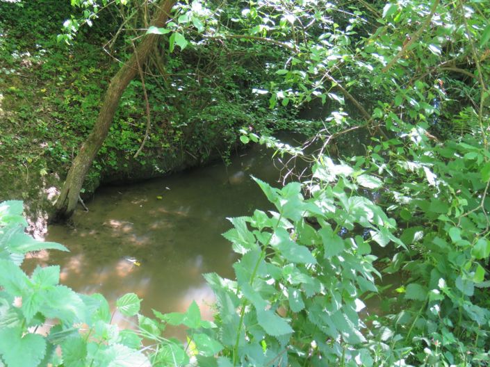 Image No.38-4 Bed Country House for sale