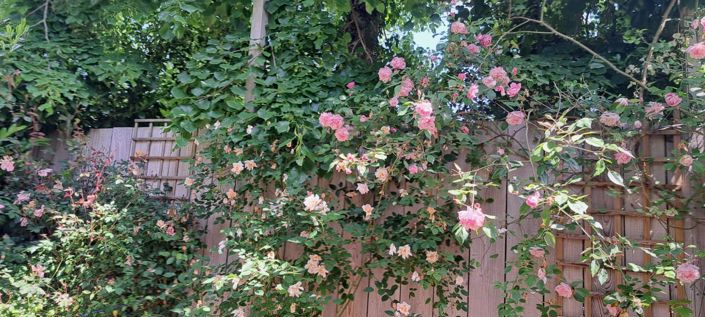 Image No.25-Maison de 4 chambres à vendre à Plaisance