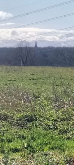 Image No.11-Maison à vendre à Tarasteix