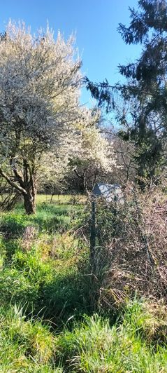 Image No.12-Maison à vendre à Tarasteix