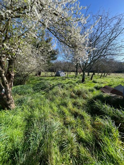 Image No.17-Maison à vendre à Tarasteix