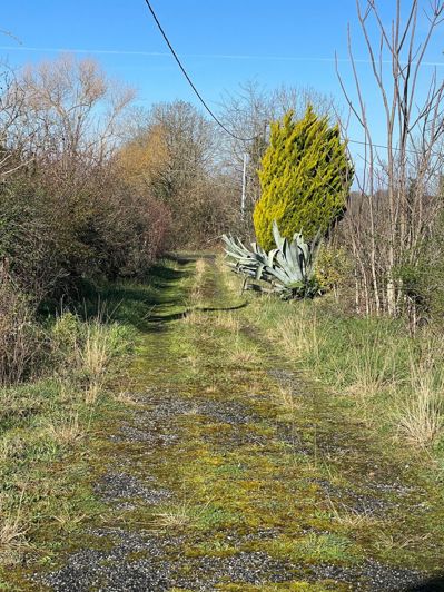 Image No.2-Maison à vendre à Tarasteix