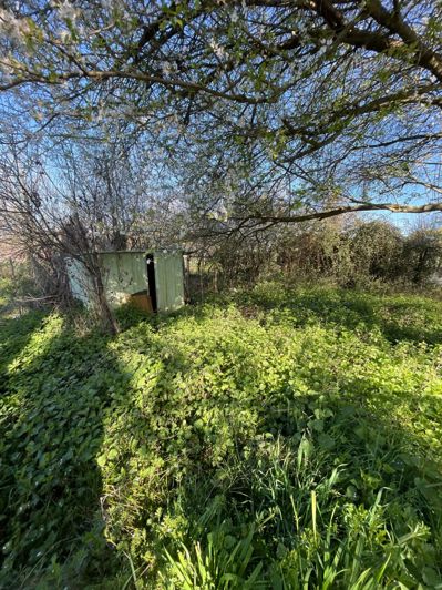 Image No.6-Maison à vendre à Tarasteix