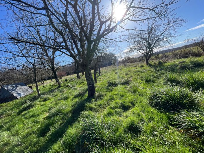 Image No.7-Maison à vendre à Tarasteix