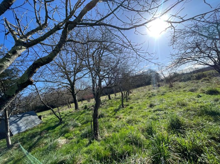 Image No.8-Maison à vendre à Tarasteix