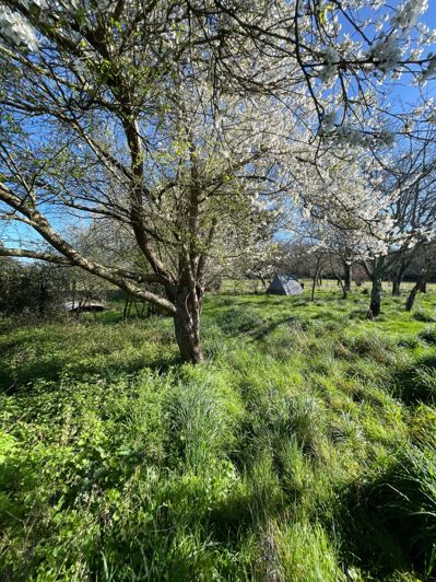 Image No.9-Maison à vendre à Tarasteix