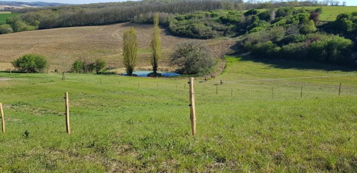 Image No.34-6 Bed House for sale