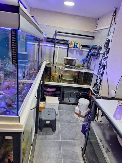 Image No.47-6 Bed House for sale