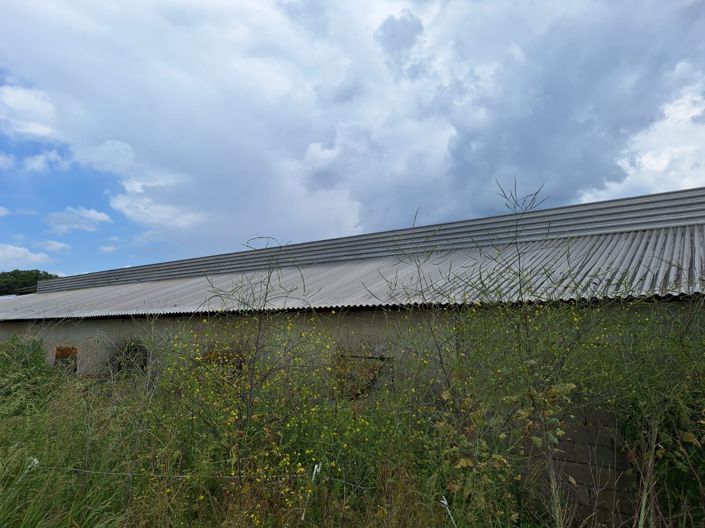 Image No.52-6 Bed House for sale