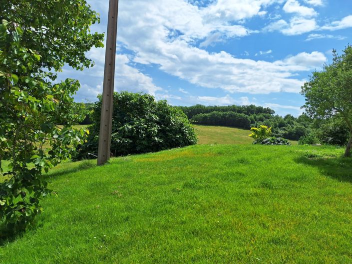 Image No.65-6 Bed House for sale