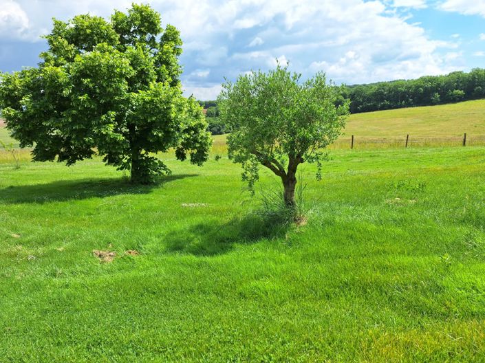 Image No.70-6 Bed House for sale