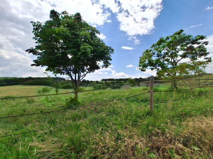 Image No.79-6 Bed House for sale