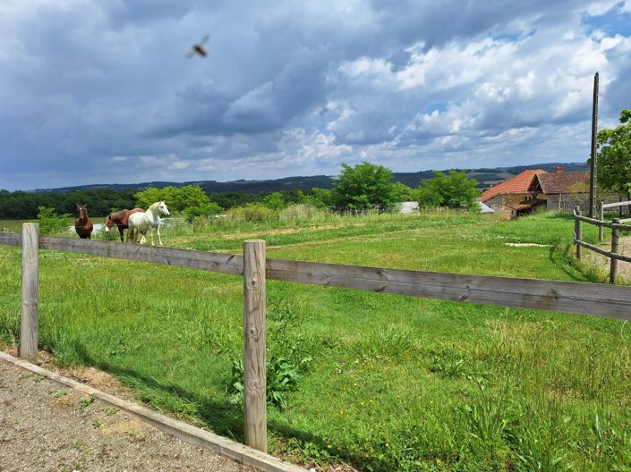 Image No.80-6 Bed House for sale